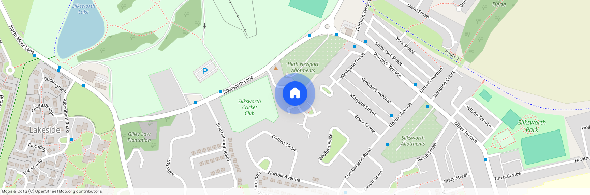 Sunnybrow, Sunderland SR3