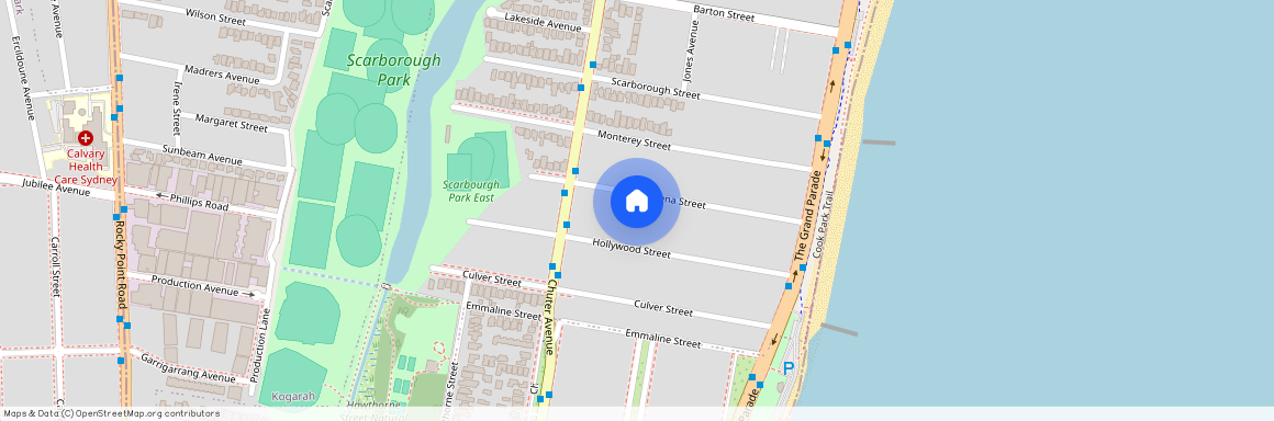 42 Pasadena Street, NSW 2217, Monterey