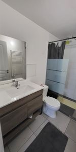 Location Appartement 1 pièce 20m² VILLENEUVE TOLOSANE 31270 - Photo 4