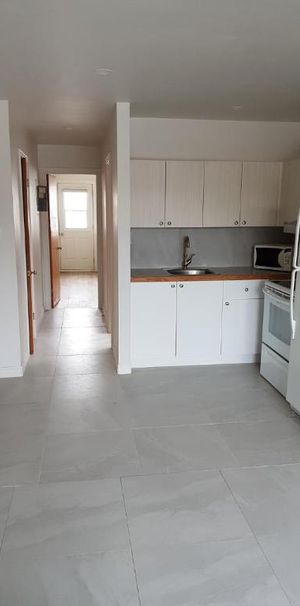 3 1/2 - Montréal (Nouveau-Bordeaux) - 1 100 $/mois - Photo 1