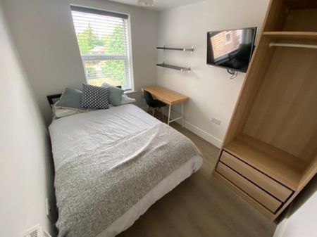 3 bed Apartment for Rent - Photo 4