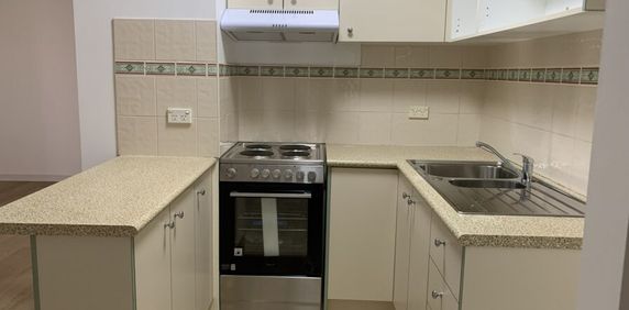 A Quiet Sanctuary Away from The Bustle of The Inner-City with New Flooring, New Paint and New Cooking Appliance. - Photo 2