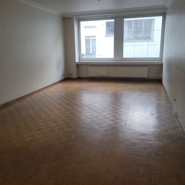 Ruim appartement in stadsparkwijk - Foto 1