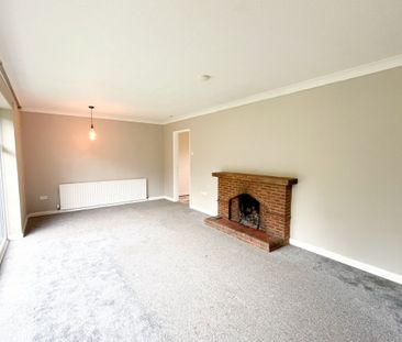 Main Street - Photo 2