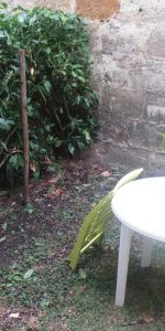 Appartement - Photo 3