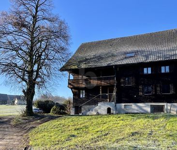 FIRST-USE WITH 5 M ROOM HEIGHT - Photo 4