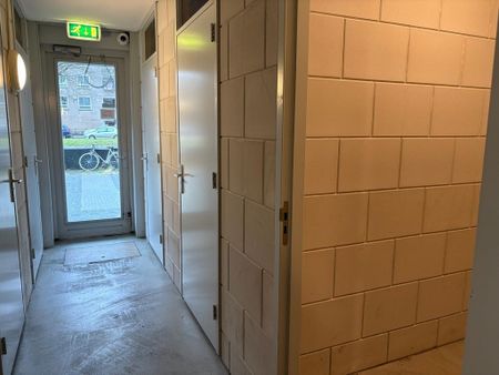 Te huur: Anna Blamansingel, 1102 SR Amsterdam Zuid-Oost - Photo 3