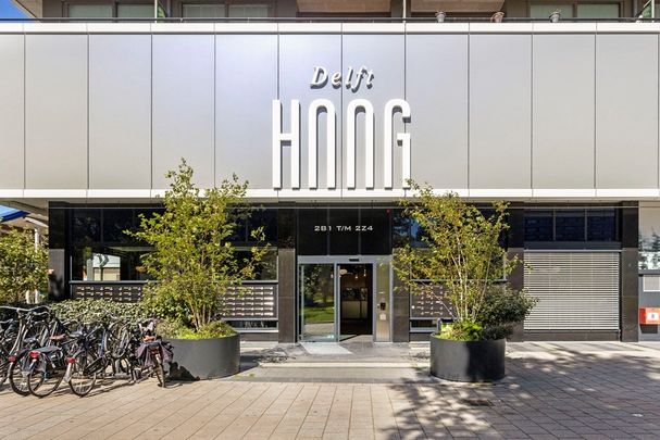 Te huur: Appartement Martinus Nijhofflaan in Delft - Foto 1