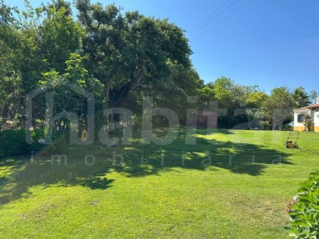 Moradia T4 em Santarém - Photo 3