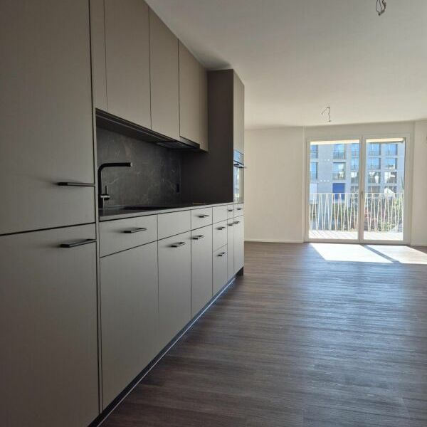 Erstvermietung 1.5 Zimmer-Wohnung Attika Altwiesenstrasse 372 - Foto 1