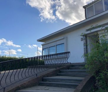 MAGAZIJN / STOCKAGERUIMTE - Foto 2