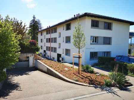 2.5 Zimmer, 55 m² - Photo 3