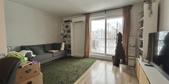 Évangéline Appartement 3 ½ à Louer Limoilou Juillet 2026 - Photo 3
