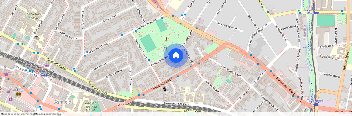 33 Ormond Street, Ashfield NSW 2131