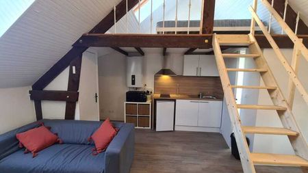 Location Appartement 1 pièce 23m² ORLEANS 45000 - Photo 3