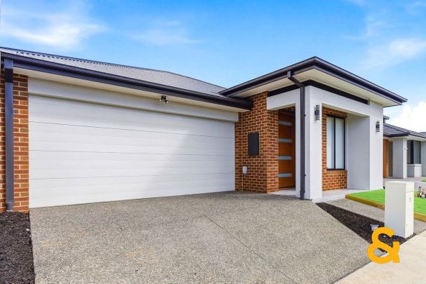 Modern Living in Donnybrook - Photo 1