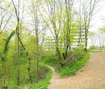 Lichtdurchflutete 4.5-Zimmer-Wohnung im beliebten Breitequartier - Foto 1