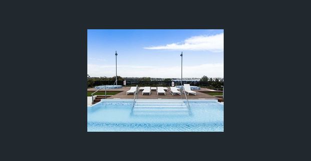 Available Now! Stylish and Modern Highrise Apartment - Photo 1