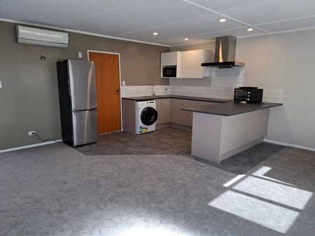 Fully Renovated - Free Internet and Washer/Dryer - Photo 4