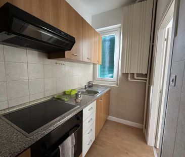 3.5-ROOM APARTMENT FULLY FURNISHED - Photo 3