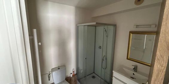 Appartement à louer 1 pièce 18.43m² - Photo 3