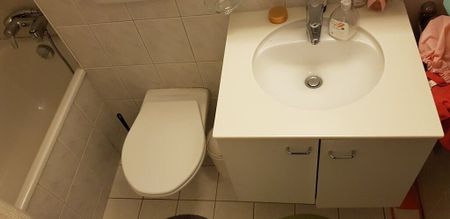 Ihr neues Wohnreich in Zumikon, befristet bis 31.03.2027 - Photo 4