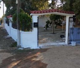 Μονοκατοικία για ενοικίαση - Σαλαμίνα, - Photo 5