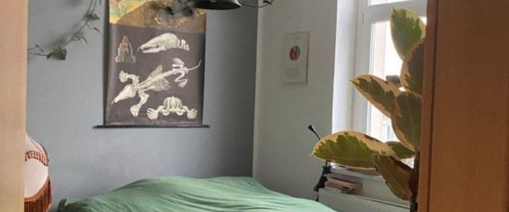 Klasse Wohnung in MD-Stadtfeld - Photo 1