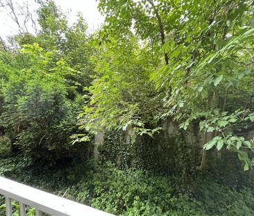 Location appartement 1 pièce - 34m² à Lyon 4e arrondissement (69004) - Photo 1