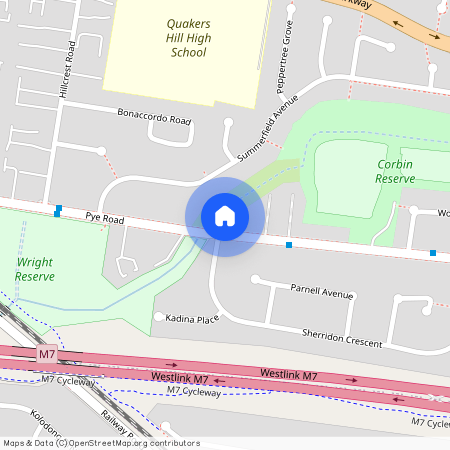 81A Pye Road, Quakers Hill NSW 2763