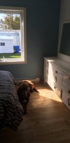 Maison bord de la mer Gaspésie qui inclus deux logements! - Photo 1