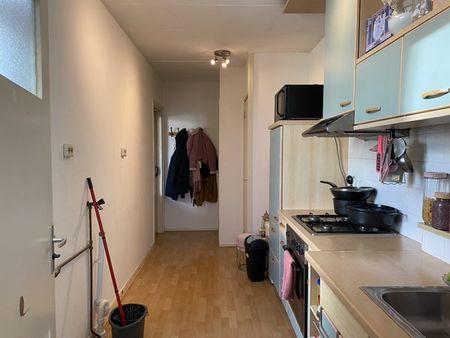 Te huur: Appartement Jasmijnstraat in Den Haag - foto 4