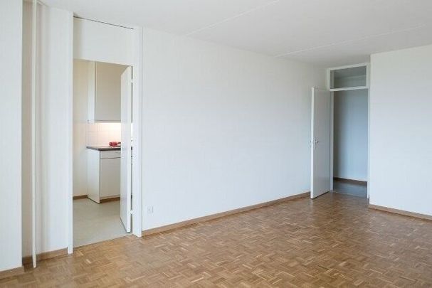 Here ends your search for an apartment - Foto 1
