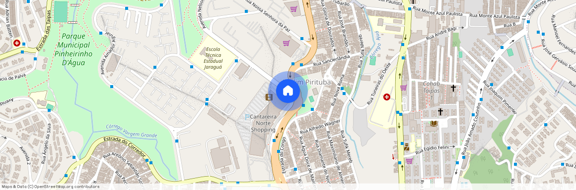 Avenida Nelson Palma Travassos, 001, Loteamento City Jaragua, São Paulo, São Paulo, 02998-000
