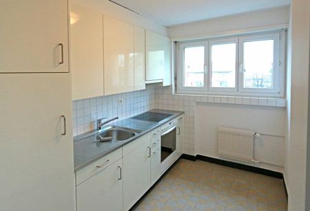 3.5 Zimmer, EG - Photo 4