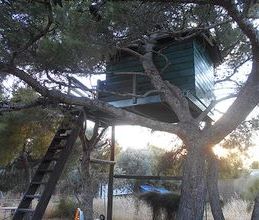 Μονοκατοικία για ενοικίαση - Παλαιά Φώκαια, - Photo 4