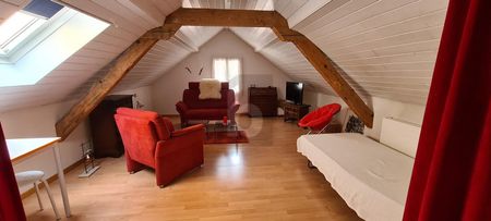 APPARTEMENT DE CHARME - Foto 5