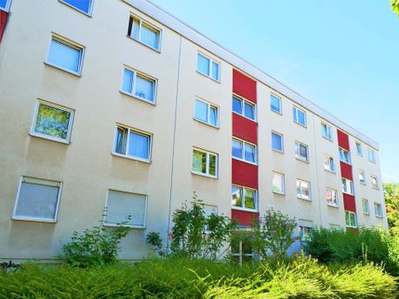 2-Zimmer-Wohnung in Frankenthal (Pfalz) - Photo 4