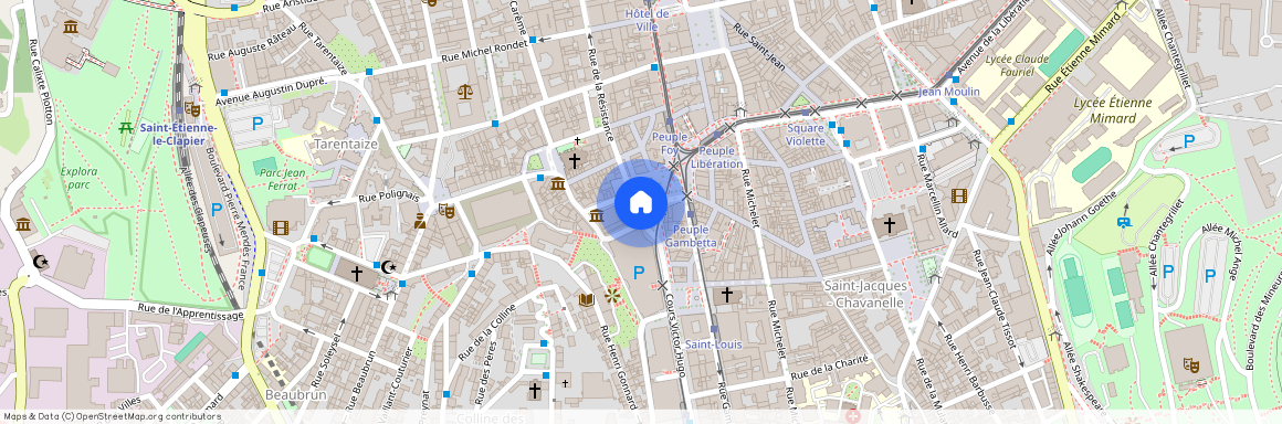 49 RUE DE LA RESISTANCE, ST ETIENNE CENTRE VILLE, Saint Etienne