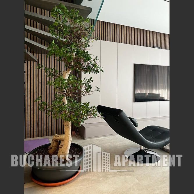Contemporary House With a Pool in Pipera - Photo 1