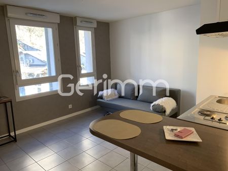 Location Appartement 1 pièce 24,59 m² - Photo 3