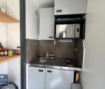 Location Appartement 1 pièce 19m² GRENOBLE 38000 - Photo 3