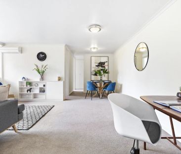 Spacious Sun-lit Living, Private Leafy Views - Photo 6