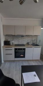 Appartement à louer 2 pièces 41.9m² - Photo 3