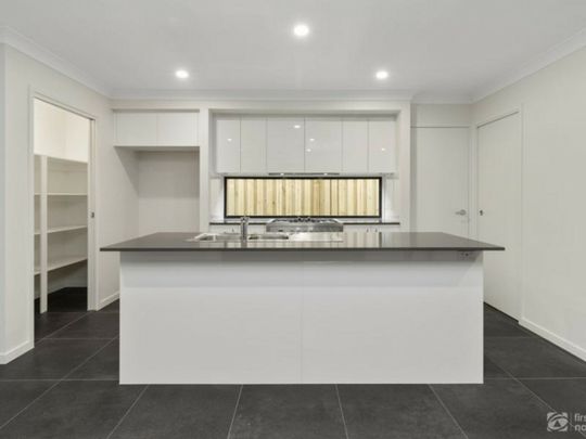 Gorgeous, spacious and centrally located! - Photo 1