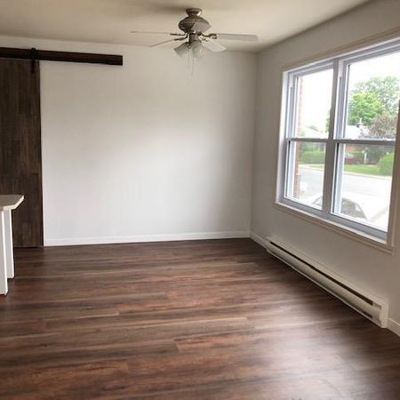 Grand 3.5 a louer A Granby 1er Juillet - Photo 3