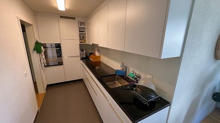 4½ Zimmer-Wohnung in Wädenswil (ZH), möbliert, auf Zeit - Photo 5