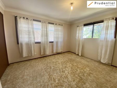 20A Collaroy Road - Photo 3