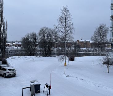 Aldergatan, Skellefteå - Foto 1