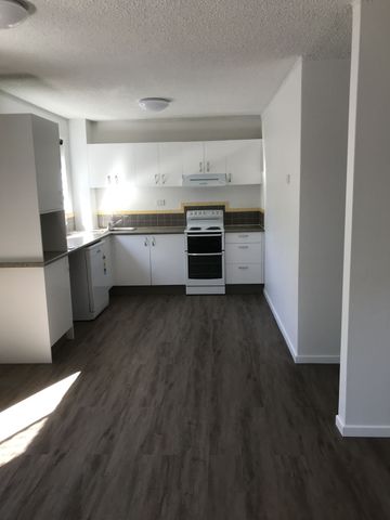 2bed 1bath renovated Beach Shack 60m to Nobbys Surf Club - Photo 3